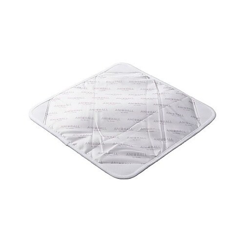 �����`�N���X�@�A�j�{�[���@�����`���b�p�[�@�Ђ���