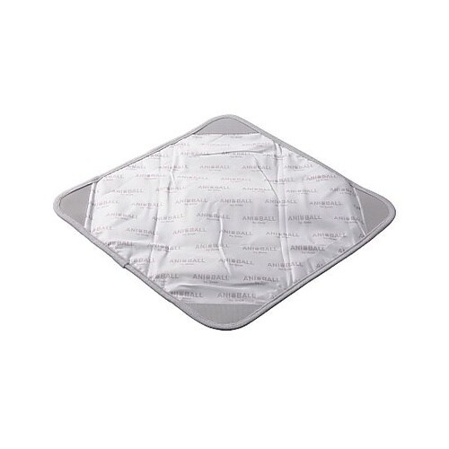 �����`�N���X�@�A�j�{�[���@�����`���b�p�[�@�Ђ���