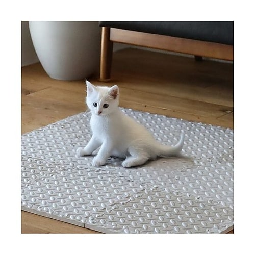 �W���C���g�}�b�g�@�|�R�s�^�@�W���C���g�}�b�g