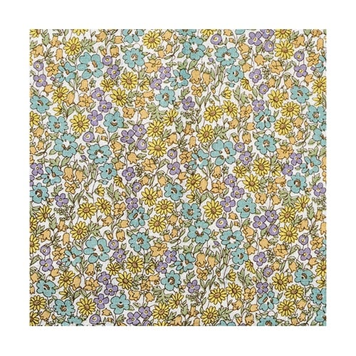 �����G�v����