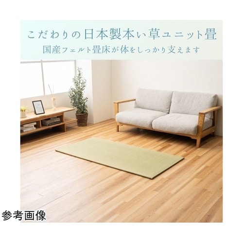 �~���@���O�E�J�[�y�b�g�E��@�w����x