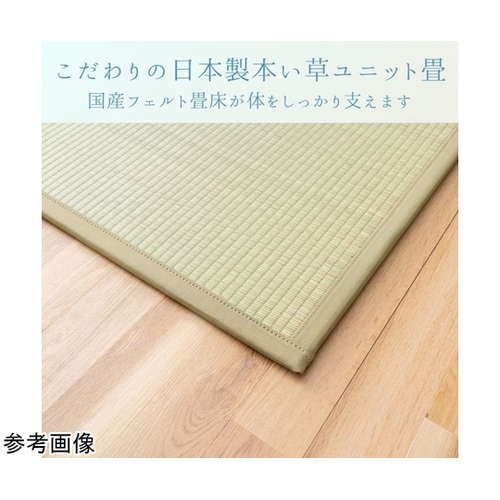 �~���@���O�E�J�[�y�b�g�E��@�w�e����x