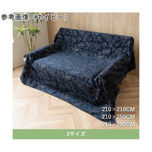 �����z�c�@��|�@�w�u�����x