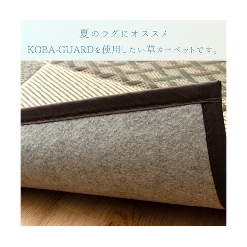 �~���@���O�E�J�[�y�b�g�@�c�w���_���`�F�b�N