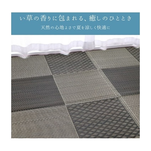 �~���@���O�E�J�[�y�b�g�@�c�w���_���`�F�b�N