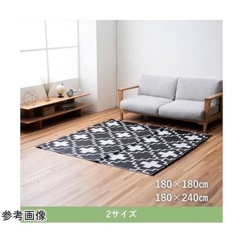 �~���@���O�E�J�[�y�b�g�@�N���X