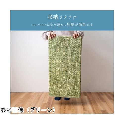 �~���@���O�E�J�[�y�b�g�@�w�V���[���x