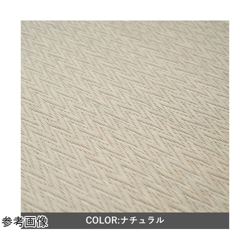 �~���@���O�E�J�[�y�b�g�E��@�w�u����@�s�[�A�@������x�@��V�O�~�V�O����