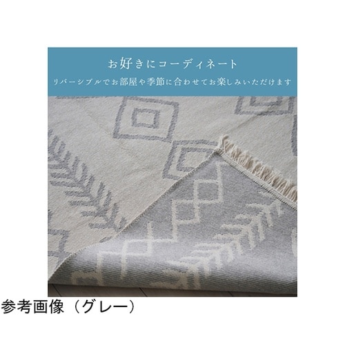 �~���@���O�E�J�[�y�b�g�@�~��