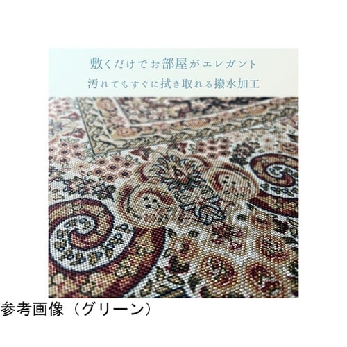 �~���@���O�E�J�[�y�b�g�@�w���[�K�����݁x