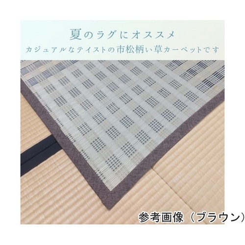 �~���@���O�E�J�[�y�b�g�@�w�s�[�X�x