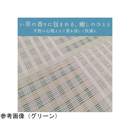 �~���@���O�E�J�[�y�b�g�@�w�s�[�X�x