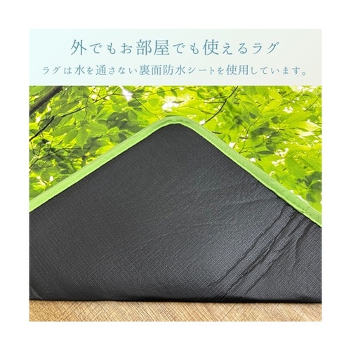 �~���@���O�E�J�[�y�b�g�@�w�t�H���X�g�x