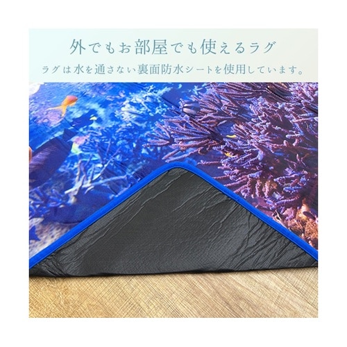 �~���@���O�E�J�[�y�b�g�@�}����