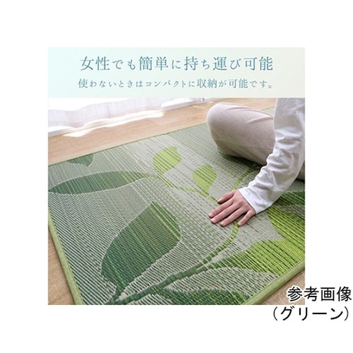 �~���@���O�E�J�[�y�b�g�E��@�w�O���[�X�x