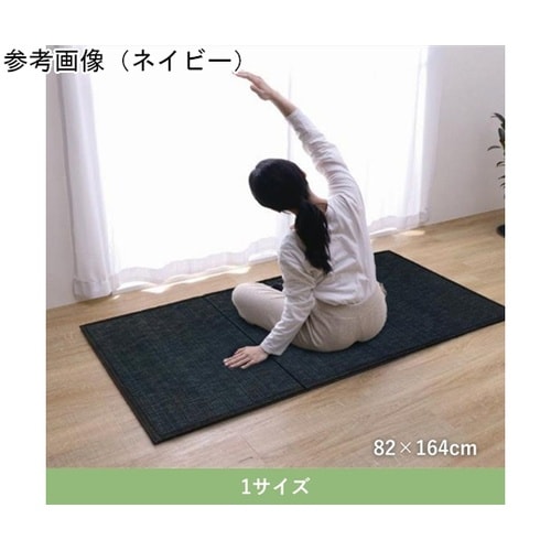 �~���@���O�E�J�[�y�b�g�E��@�w�X�^�C���x