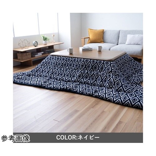 �����z�c�@�|�z�c�@�w�n�~�i�x