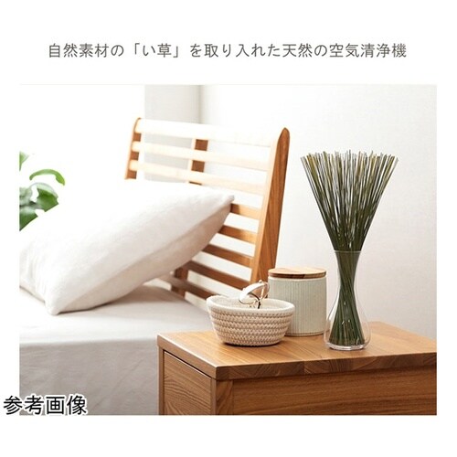 �G�݁@�u���@�w�݂炢�x