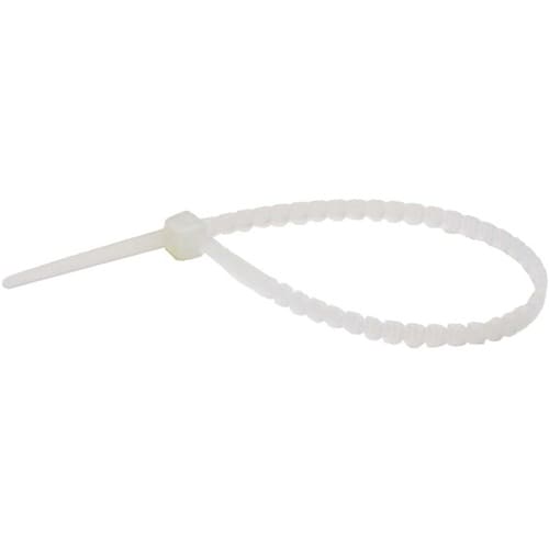 �˂�����o���h