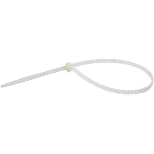 �˂�����o���h