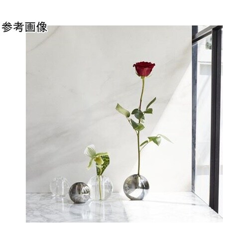 �m�[���@�N���[��