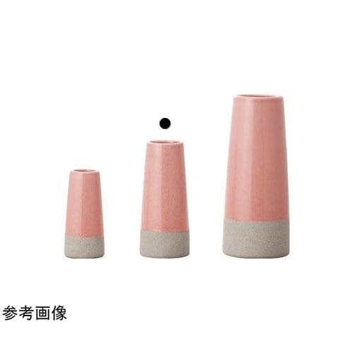 �����������i�����J�j�R�[�����s���N