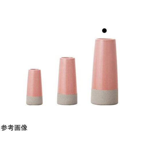 �����������i�����J�j�R�[�����s���N