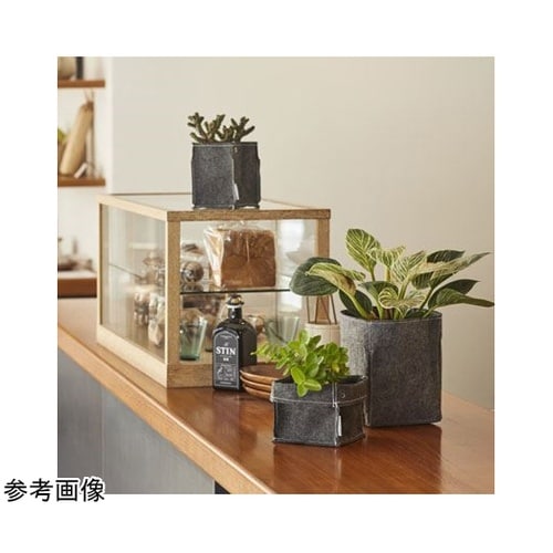 �q���F�������i���|�b�g�j�O���[