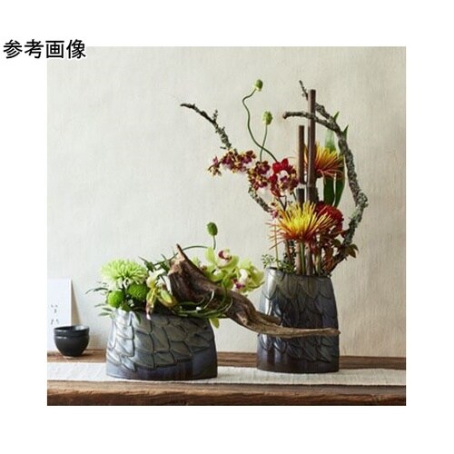 �t�q�n�j�n�i�E���R�j�N���~�h��