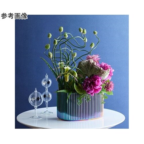 �a�������������i�u���G�j���C���{�[���^���b�N