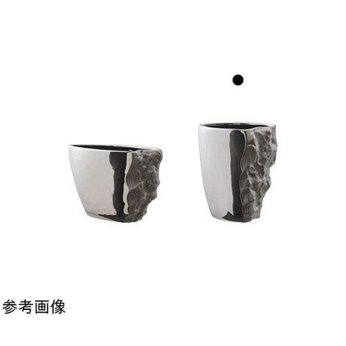 �q�����������i���V�F�j�V���o�[