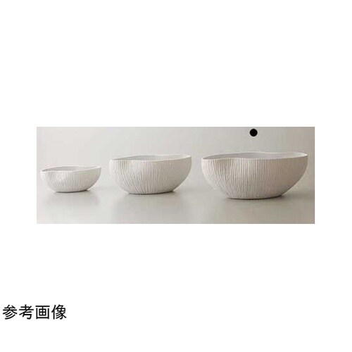 �����������i�v���[�W���j�z���C�g