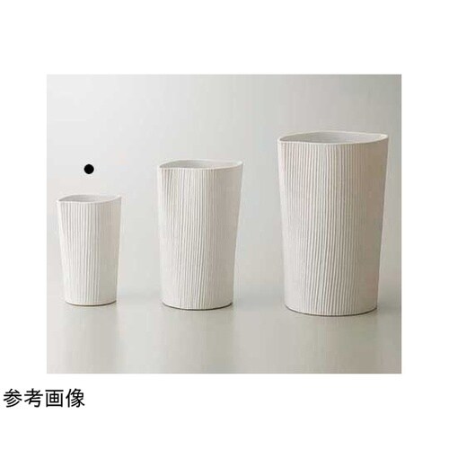 �����������i�v���[�W���j�z���C�g