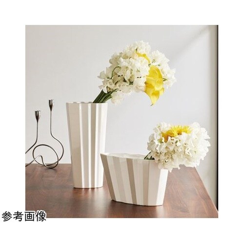 �n���������i�I���u���j�z���C�g