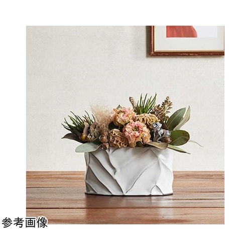 �������������i�����L�j�A���e�B�[�N�z���C�g