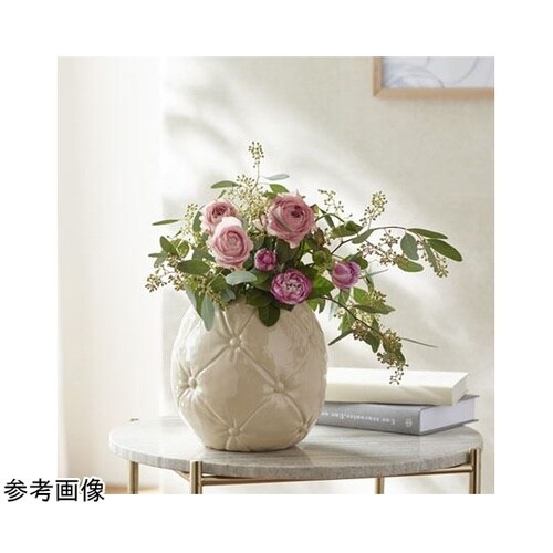 �p���������i�L���g�j�G�N��