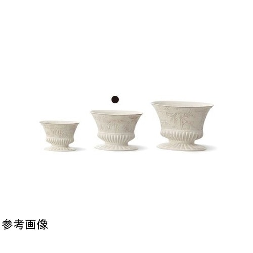 �q�������������i���}�[�W���j�z���C�g