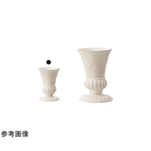 �q�������������i���}�[�W���j�z���C�g