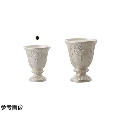 ���B�N�g���A���Q