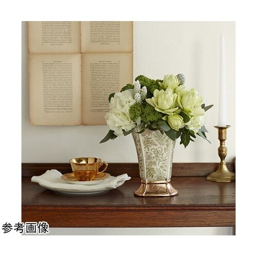 �A���g���l�b�g