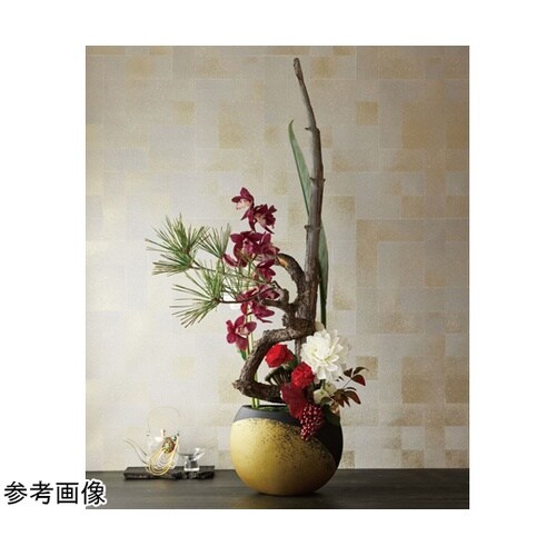 �x�`�f�d�s�r�t�i���Q�c�j�}�b�g�u���b�N