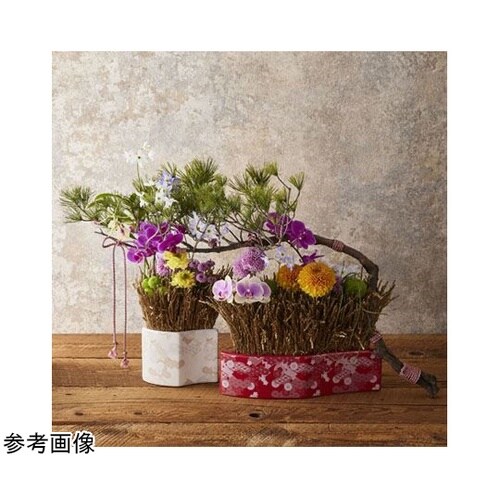 �j�`�q�`�g�`�m�`�i�J���n�i�j�z���C�g