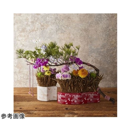 �j�`�q�`�g�`�m�`�i�J���n�i�j���b�h