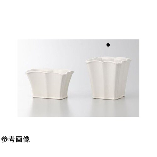 ���������@�u�`�r�d�i�t�F�~�@�x�[�X�j�z���C�g