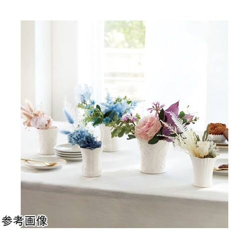 �t�F�~�@�A���\���W�[