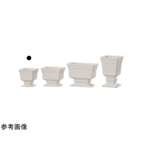 �n�����������i�I���f�B�l�j�z���C�g