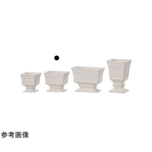 �n�����������i�I���f�B�l�j�z���C�g