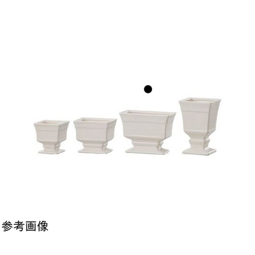 �n�����������i�I���f�B�l�j�z���C�g