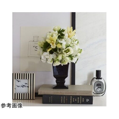 �n�����������i�I���f�B�l�j�u���b�N