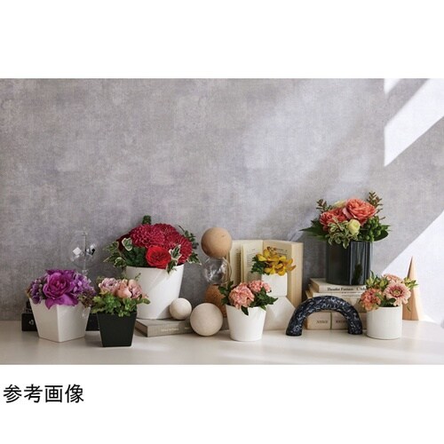 �J���[�x�[�X